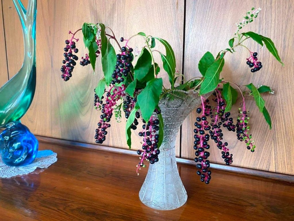 インクベリー１