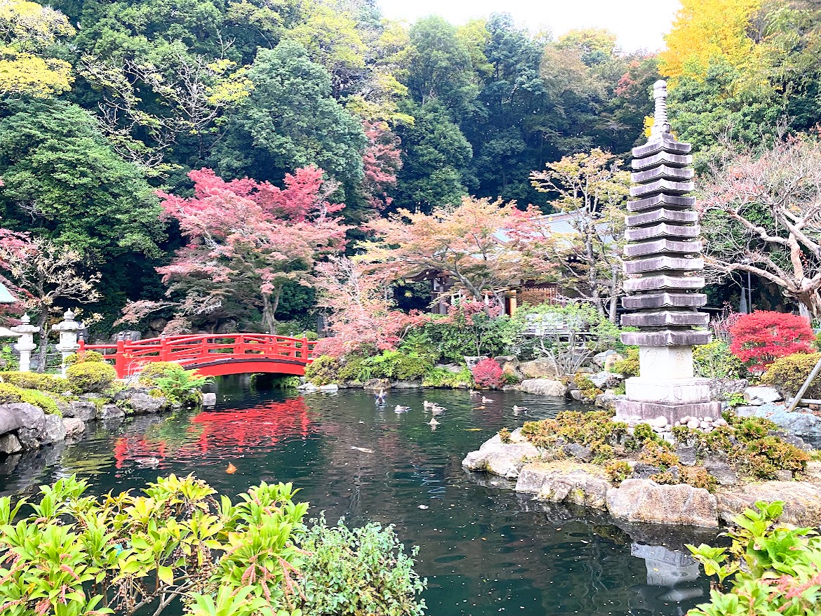 紅葉狩り🍂