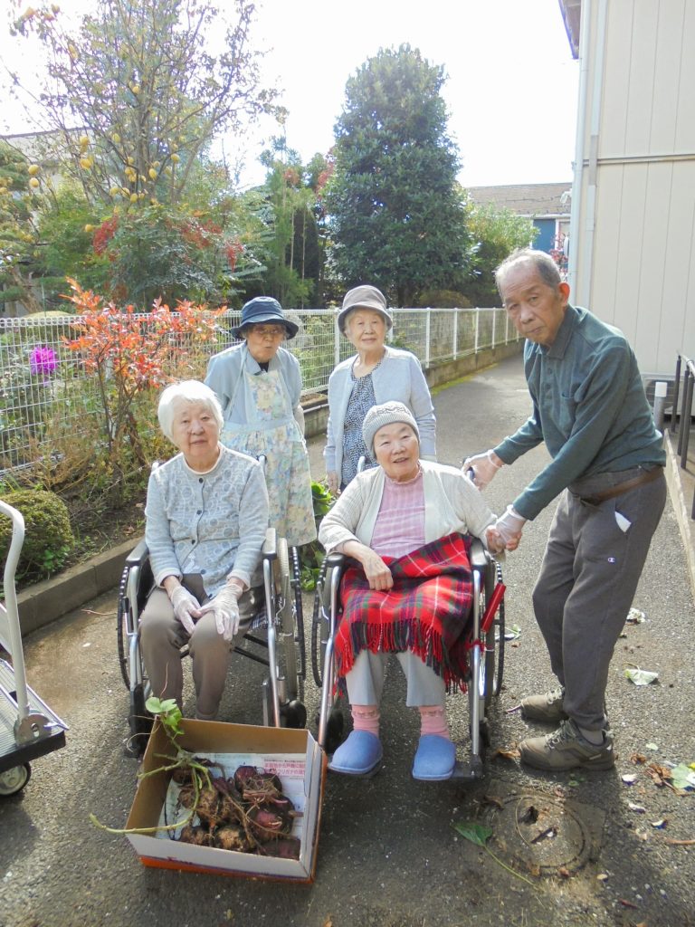 さつまいも掘り４