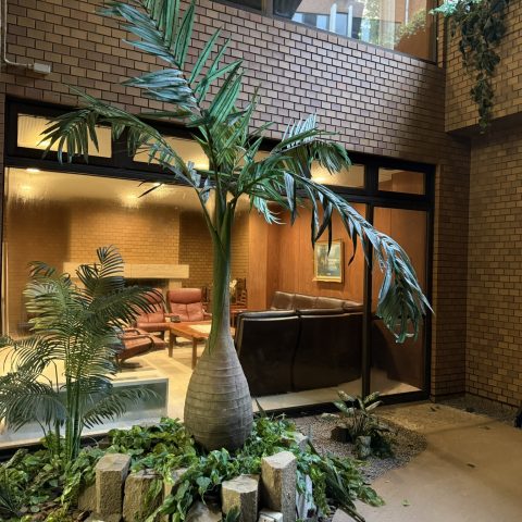 やすらぎの場所