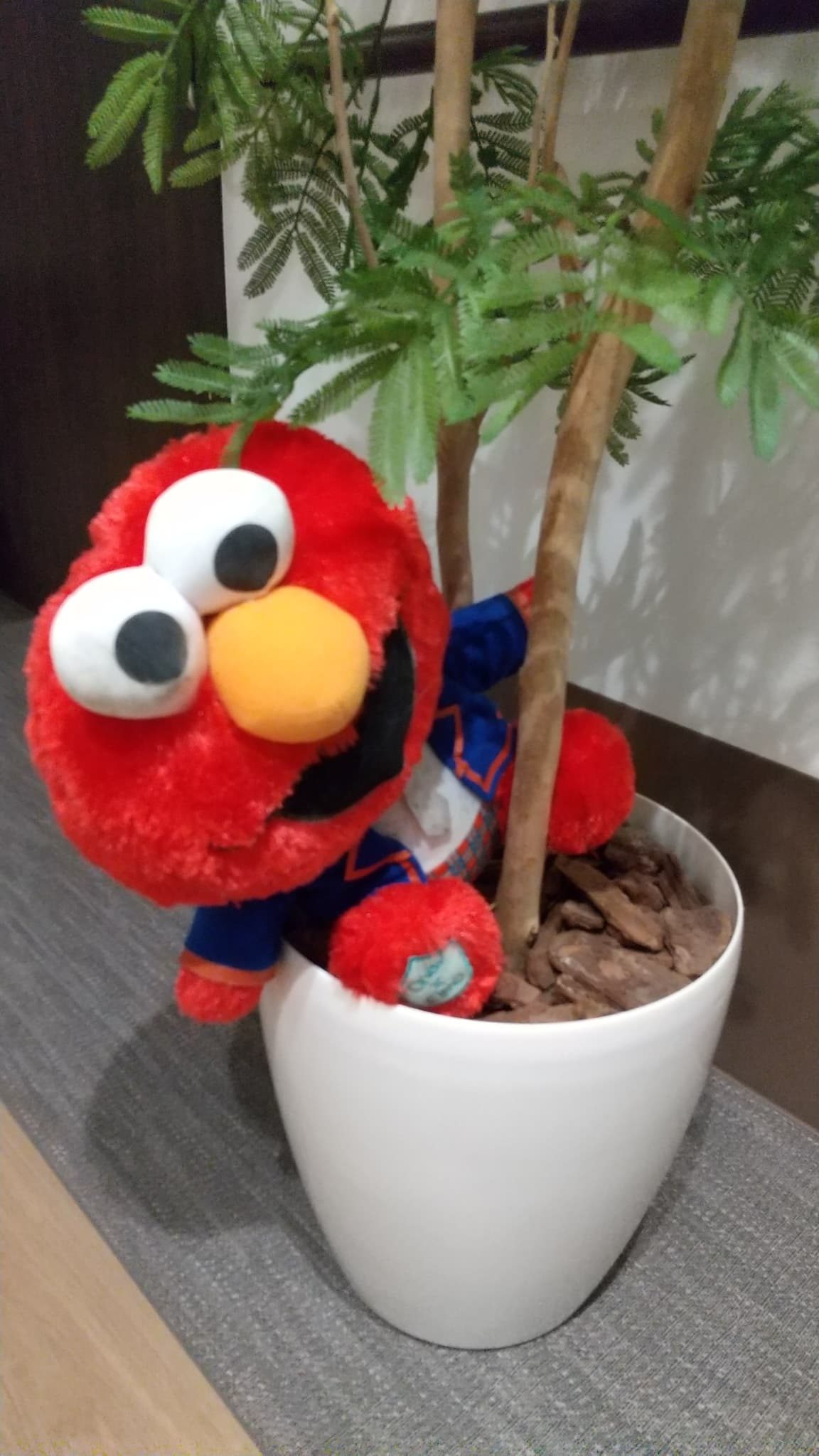 クリスマス飾り🌲