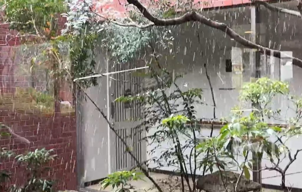 マンションに降った雪の様子２