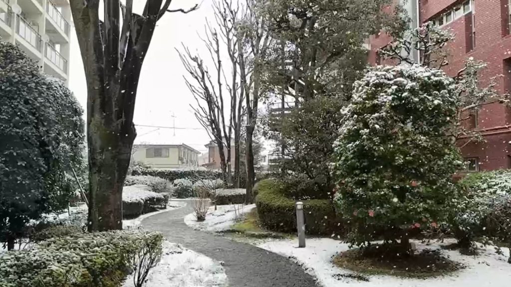 3月の雪１